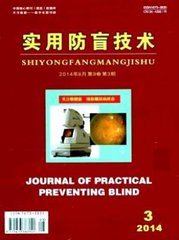 实用防盲技术