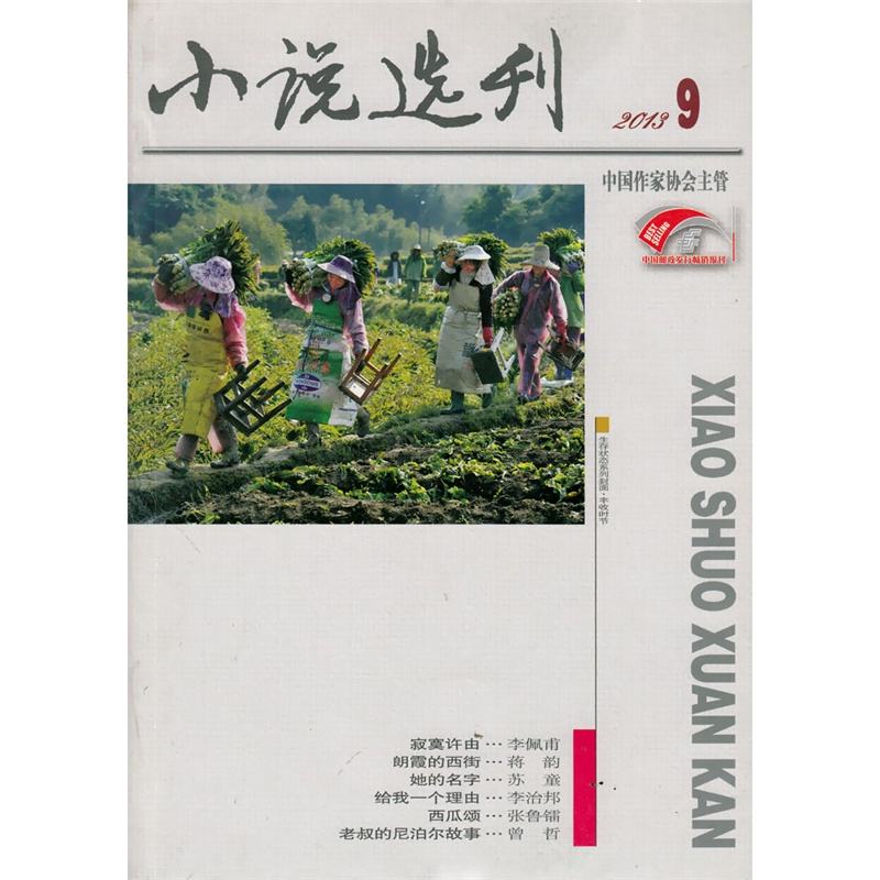 小说选刊