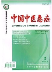 中国中医急症