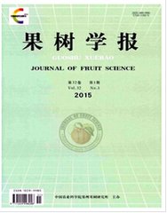 果树学报