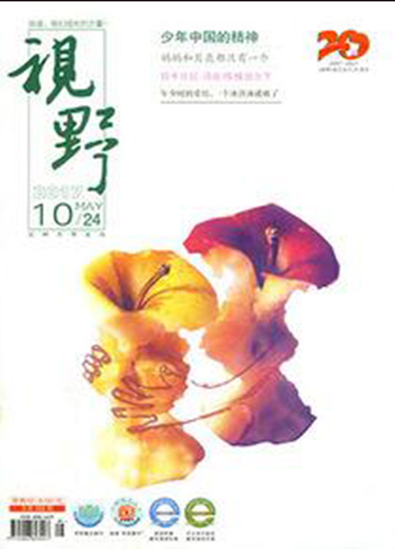 视野