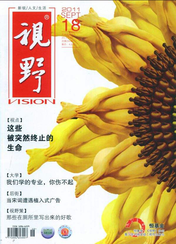 视野
