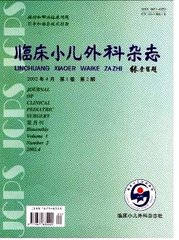 临床小儿外科杂志
