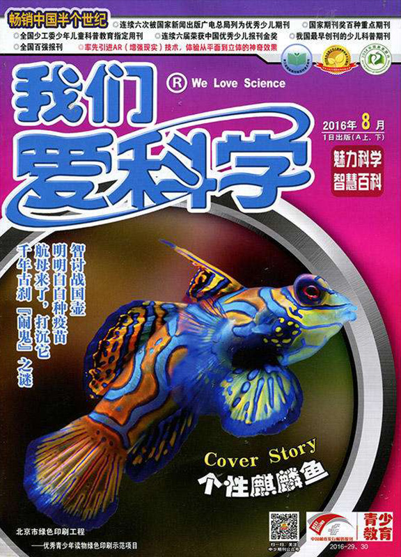 我们爱科学(少年版.魅力科学+智慧百科)